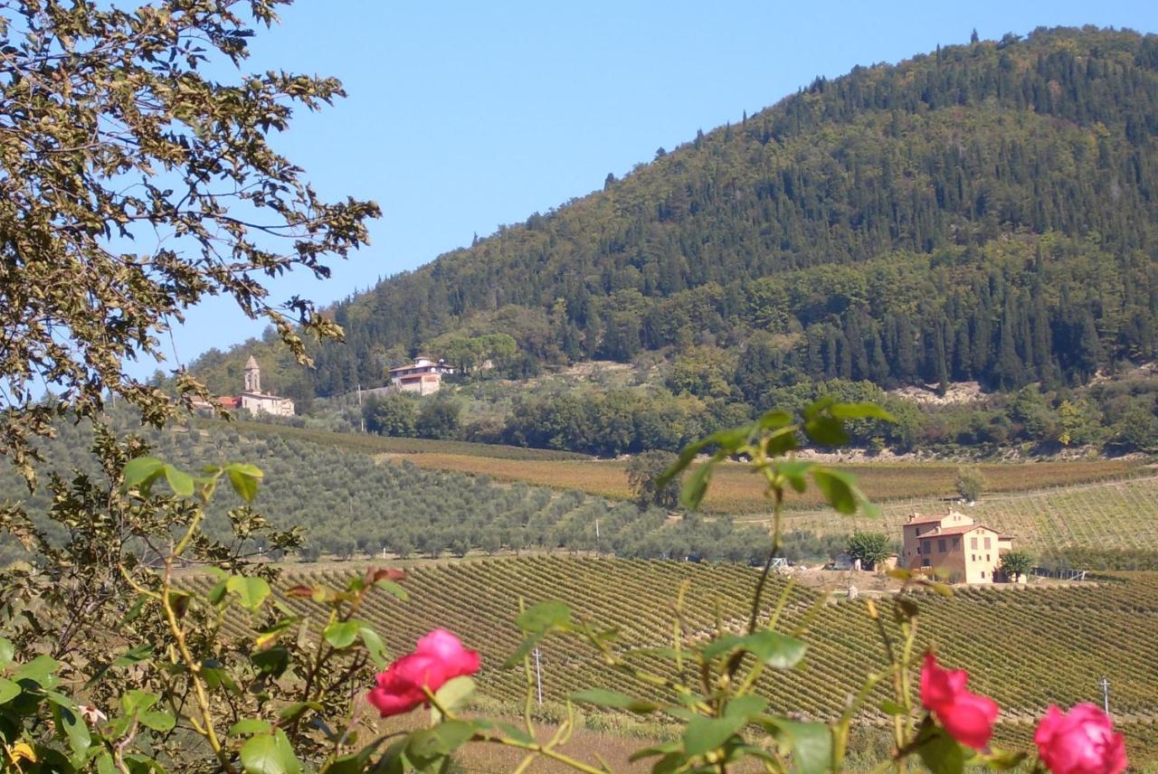 I Veroni - Agriturismo And Wine Cellar Pontassieve Dış mekan fotoğraf