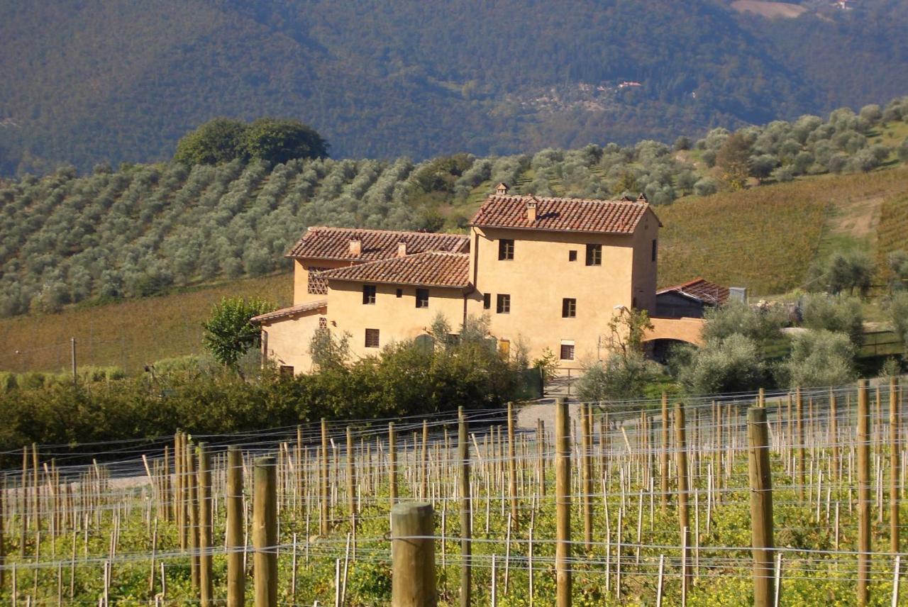 I Veroni - Agriturismo And Wine Cellar Pontassieve Dış mekan fotoğraf