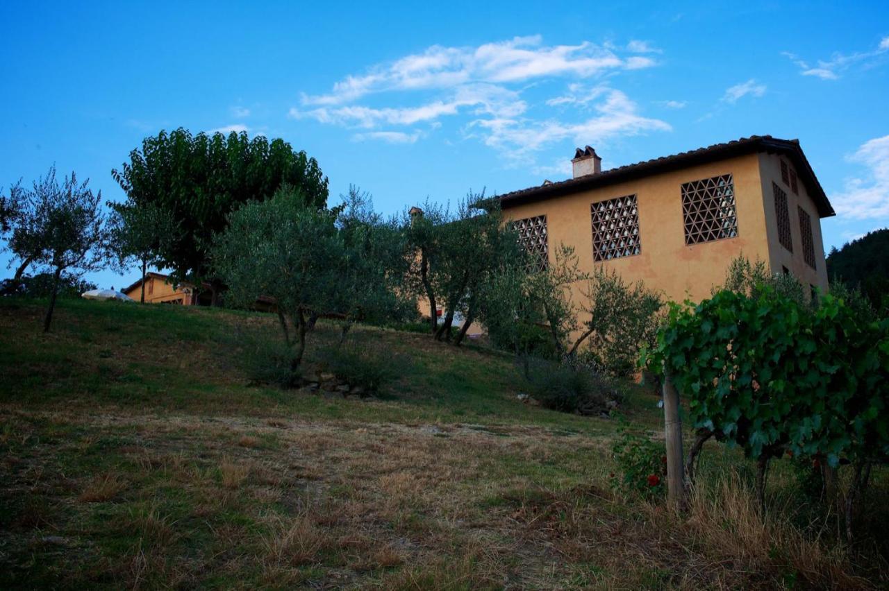 I Veroni - Agriturismo And Wine Cellar Pontassieve Dış mekan fotoğraf